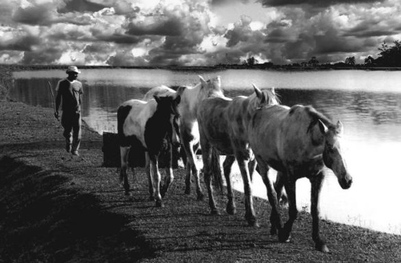  “Vaqueiro”, de A.C.Tórtoro, do Grupo Amigos da Fotografia - Foto: A.C.TÓRTORO