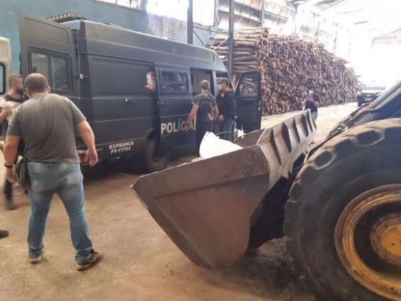 Foto: Divulgação / Polícia Civil