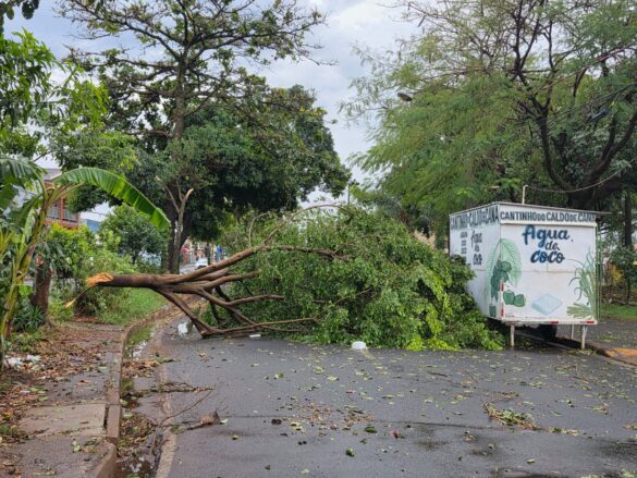 Av. Monteiro Lobato